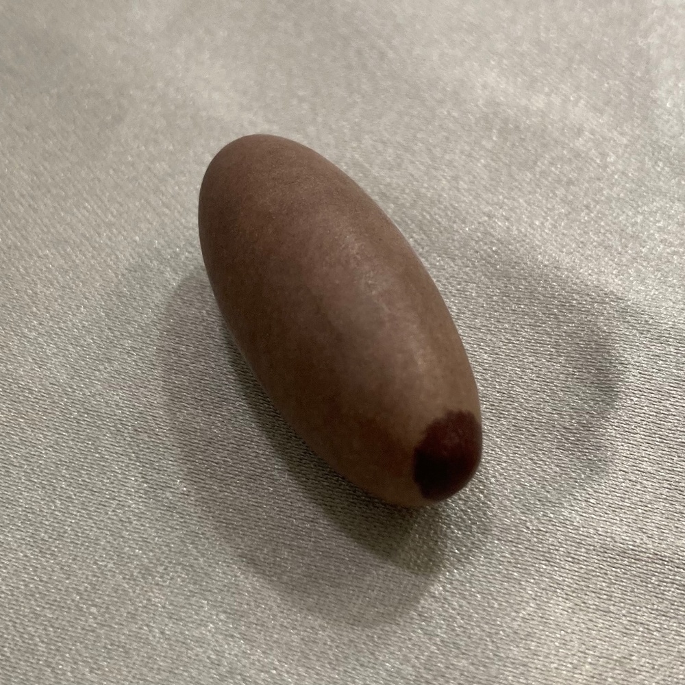 Shiva Lingam Stone From India - Small 1.25” Brown Tones